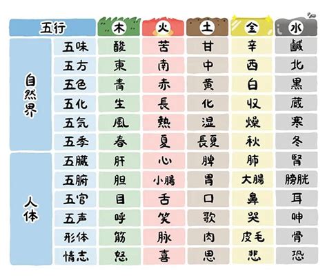 五行分類表|五行説の概要と人体との関係 